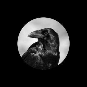 猎奇重口做爱视频在线观看
