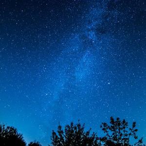 猎奇重口做爱视频在线观看
