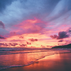 猎奇重口做爱视频在线观看
